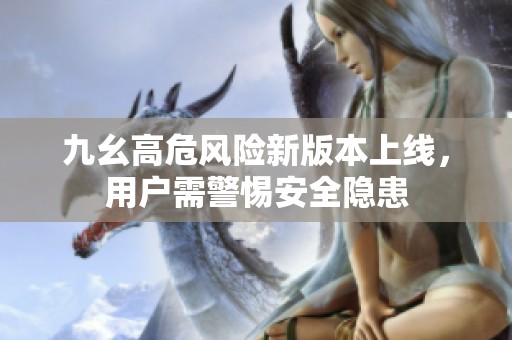 九幺高危风险新版本上线，用户需警惕安全隐患