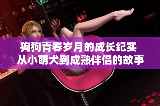 狗狗青春岁月的成长纪实 从小萌犬到成熟伴侣的故事