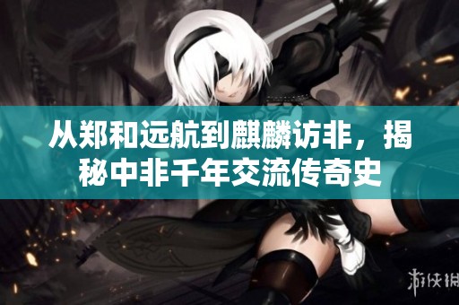 从郑和远航到麒麟访非，揭秘中非千年交流传奇史