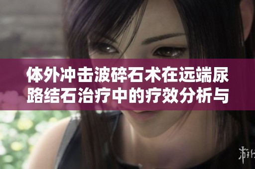 体外冲击波碎石术在远端尿路结石治疗中的疗效分析与评估
