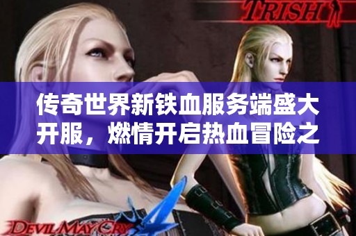 传奇世界新铁血服务端盛大开服，燃情开启热血冒险之旅！
