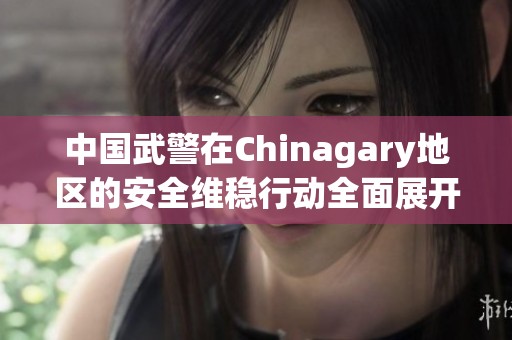 中国武警在Chinagary地区的安全维稳行动全面展开