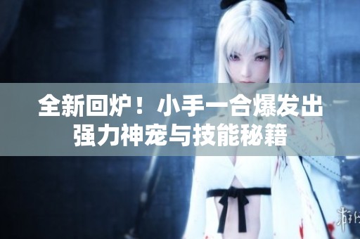 全新回炉！小手一合爆发出强力神宠与技能秘籍