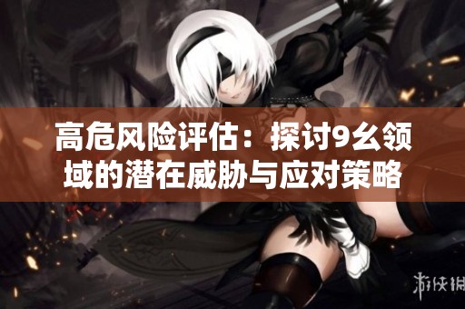 高危风险评估：探讨9幺领域的潜在威胁与应对策略