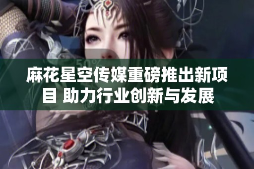 麻花星空传媒重磅推出新项目 助力行业创新与发展