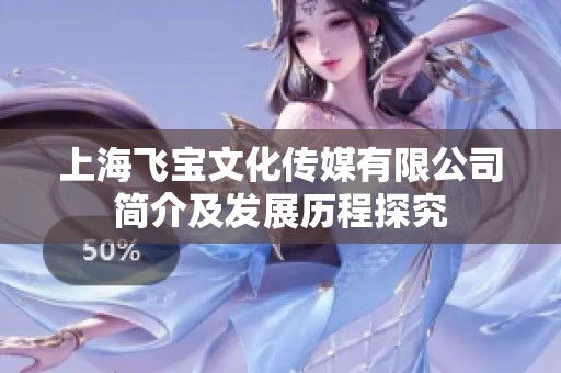 上海飞宝文化传媒有限公司简介及发展历程探究
