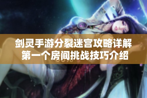 剑灵手游分裂迷宫攻略详解 第一个房间挑战技巧介绍