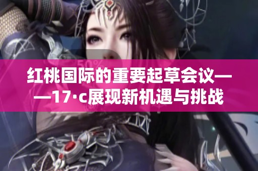 红桃国际的重要起草会议——17·c展现新机遇与挑战