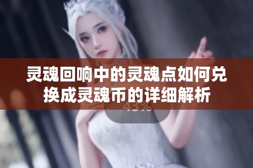 灵魂回响中的灵魂点如何兑换成灵魂币的详细解析