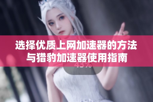选择优质上网加速器的方法与猎豹加速器使用指南