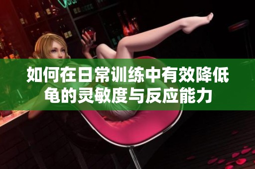 如何在日常训练中有效降低龟的灵敏度与反应能力