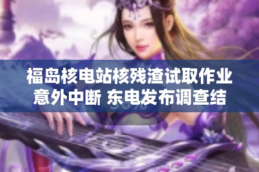 福岛核电站核残渣试取作业意外中断 东电发布调查结果新进展