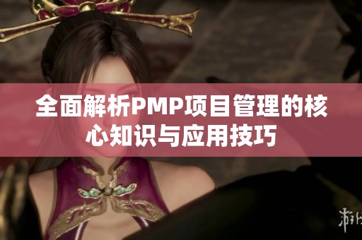 全面解析PMP项目管理的核心知识与应用技巧
