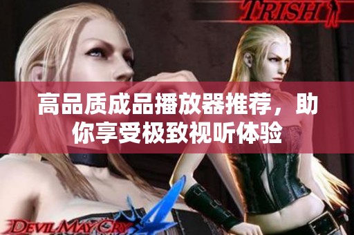 高品质成品播放器推荐，助你享受极致视听体验