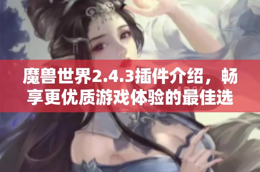 魔兽世界2.4.3插件介绍，畅享更优质游戏体验的最佳选择