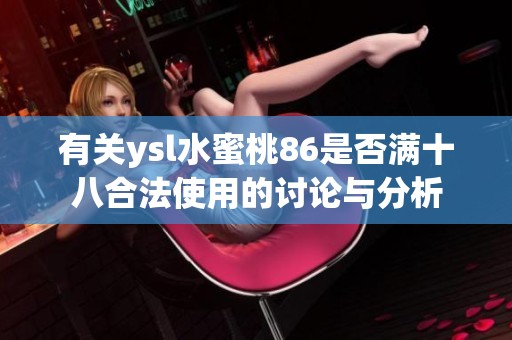 有关ysl水蜜桃86是否满十八合法使用的讨论与分析