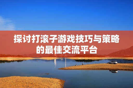 探讨打滚子游戏技巧与策略的最佳交流平台