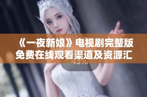 《一夜新娘》电视剧完整版免费在线观看渠道及资源汇总