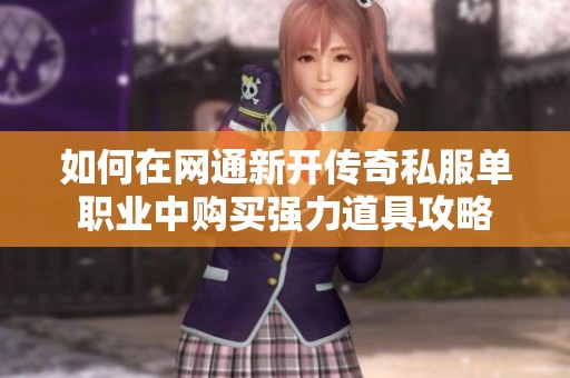 如何在网通新开传奇私服单职业中购买强力道具攻略