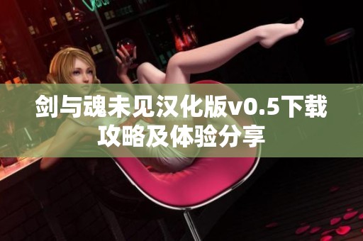剑与魂未见汉化版v0.5下载攻略及体验分享