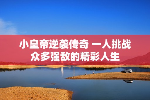 小皇帝逆袭传奇 一人挑战众多强敌的精彩人生