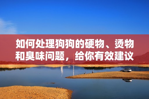 如何处理狗狗的硬物、烫物和臭味问题，给你有效建议