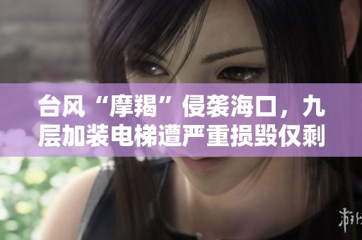台风“摩羯”侵袭海口，九层加装电梯遭严重损毁仅剩框架