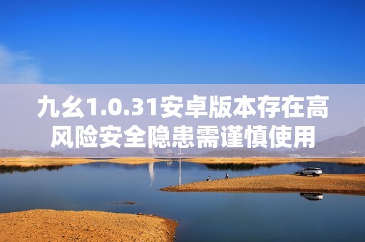九幺1.0.31安卓版本存在高风险安全隐患需谨慎使用