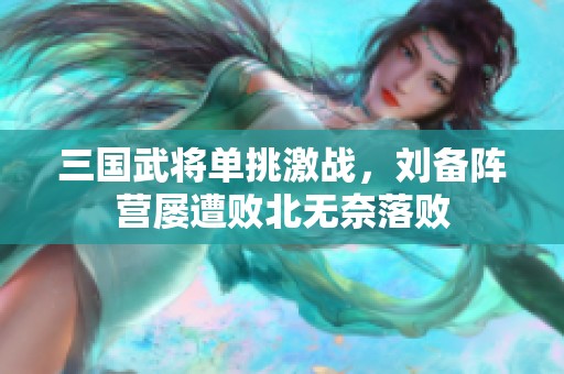 三国武将单挑激战，刘备阵营屡遭败北无奈落败