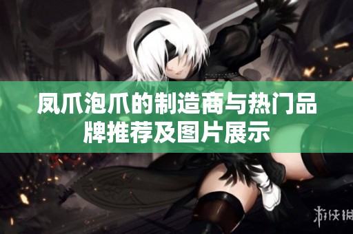 凤爪泡爪的制造商与热门品牌推荐及图片展示