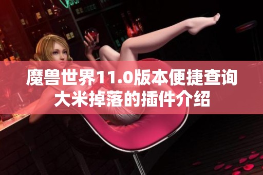 魔兽世界11.0版本便捷查询大米掉落的插件介绍