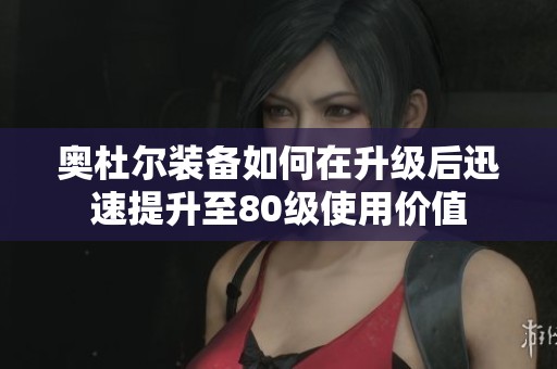 奥杜尔装备如何在升级后迅速提升至80级使用价值