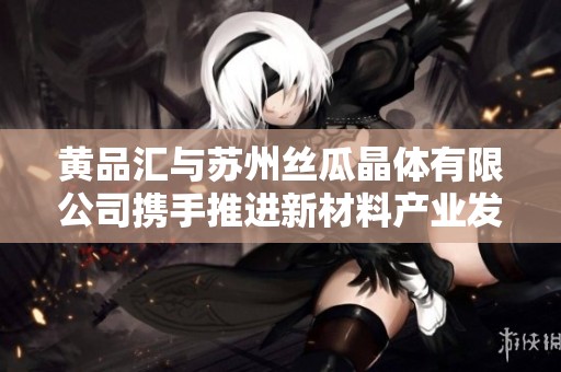 黄品汇与苏州丝瓜晶体有限公司携手推进新材料产业发展