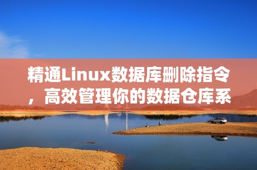 精通Linux数据库删除指令，高效管理你的数据仓库系统