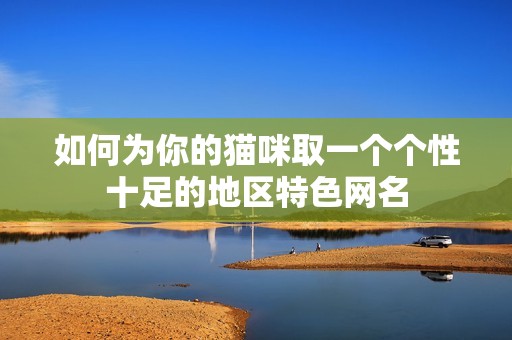 如何为你的猫咪取一个个性十足的地区特色网名