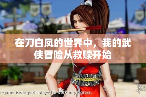 在刀白凤的世界中，我的武侠冒险从救赎开始