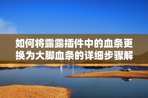 如何将露露插件中的血条更换为大脚血条的详细步骤解析
