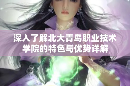 深入了解北大青鸟职业技术学院的特色与优势详解