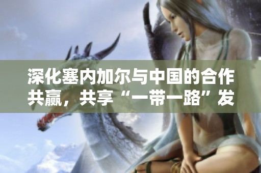 深化塞内加尔与中国的合作共赢，共享“一带一路”发展机遇