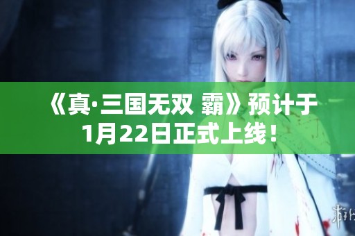 《真·三国无双 霸》预计于1月22日正式上线！