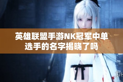 英雄联盟手游NK冠军中单选手的名字揭晓了吗