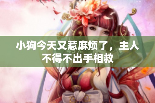 小狗今天又惹麻烦了，主人不得不出手相救
