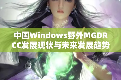 中国Windows野外MGDRCC发展现状与未来发展趋势探讨