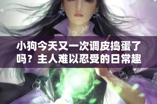 小狗今天又一次调皮捣蛋了吗？主人难以忍受的日常趣事