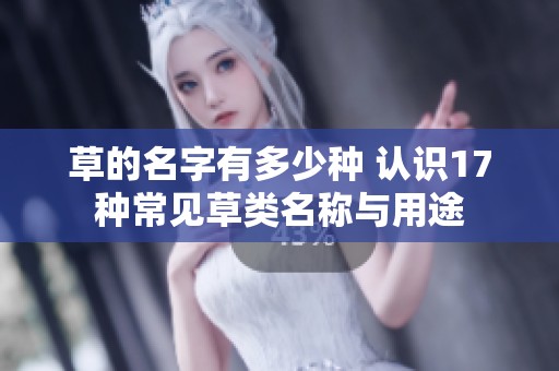 草的名字有多少种 认识17种常见草类名称与用途