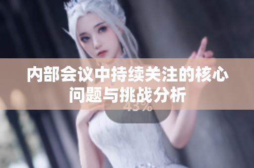 内部会议中持续关注的核心问题与挑战分析