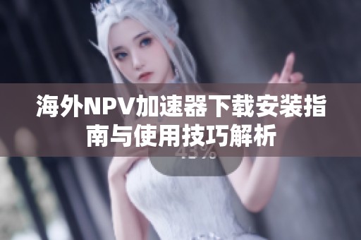 海外NPV加速器下载安装指南与使用技巧解析