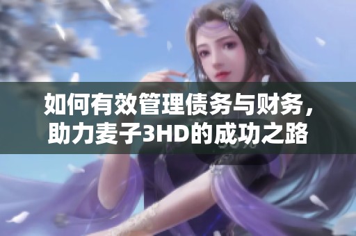 如何有效管理债务与财务，助力麦子3HD的成功之路