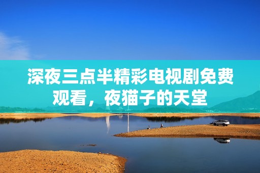 深夜三点半精彩电视剧免费观看，夜猫子的天堂