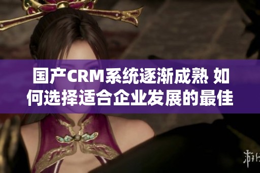 国产CRM系统逐渐成熟 如何选择适合企业发展的最佳方案